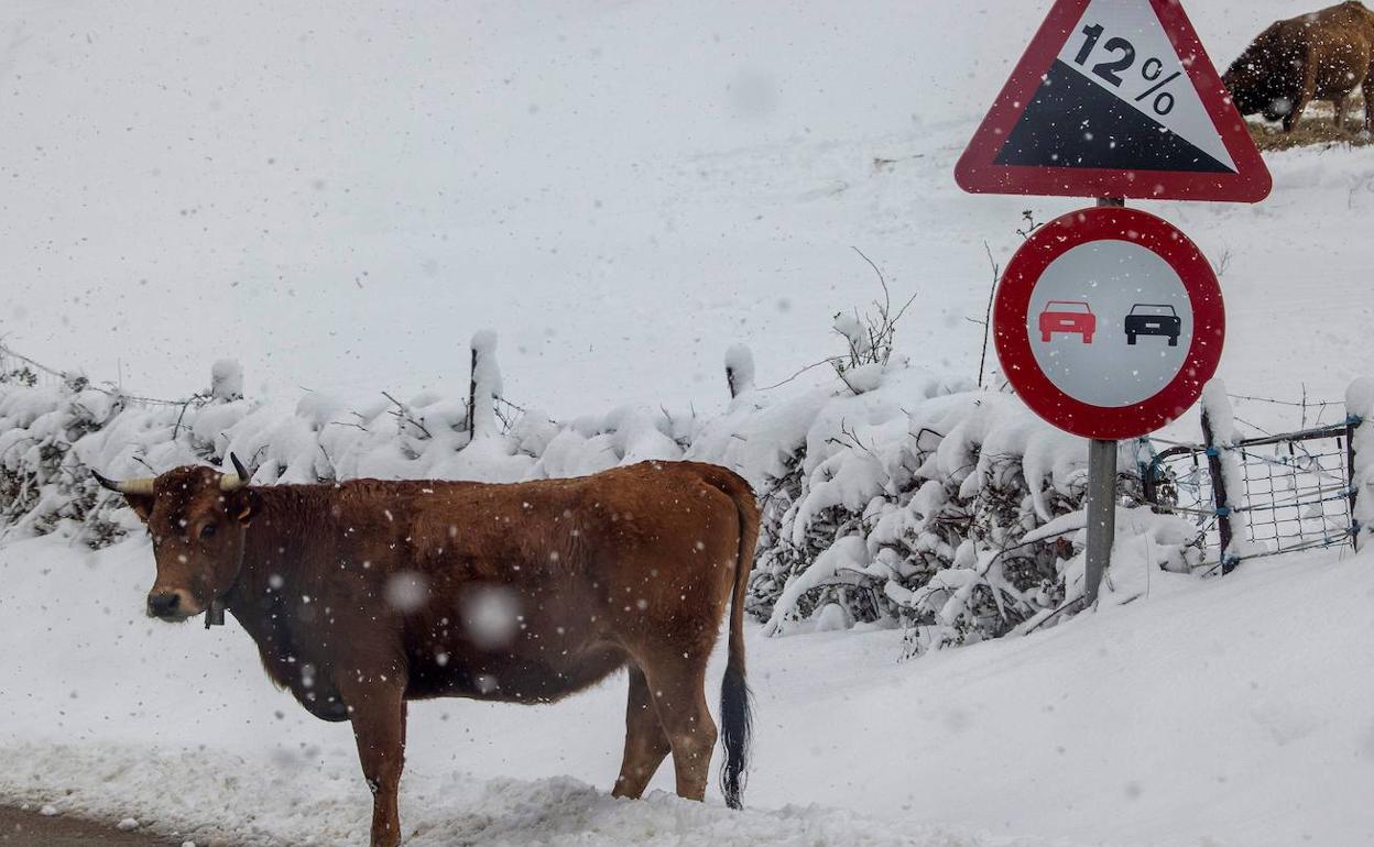 Foto de archivo de una nevada.