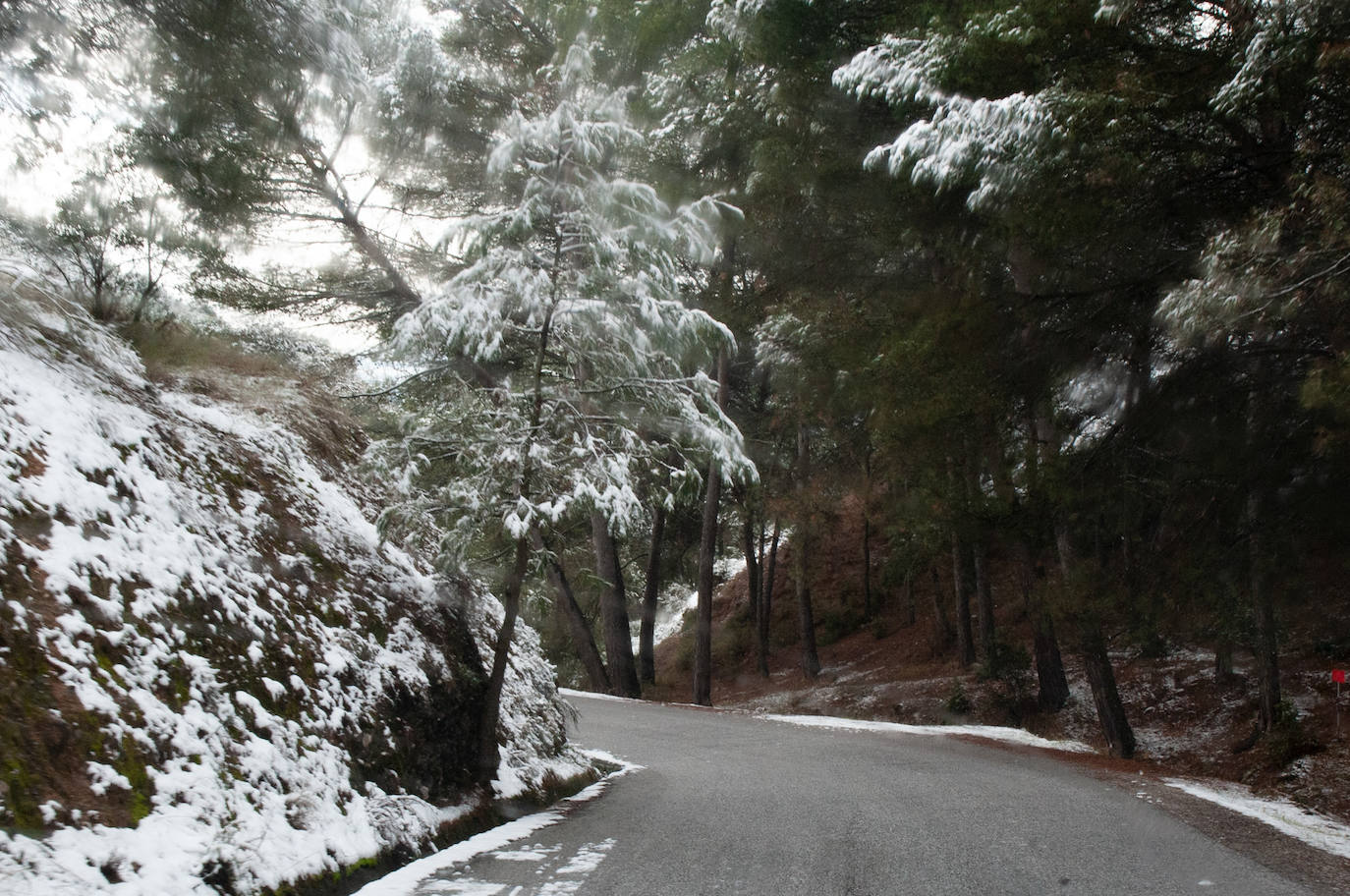 La capital y su área Metropolitana han amenecido con zonas de blanco este domingo