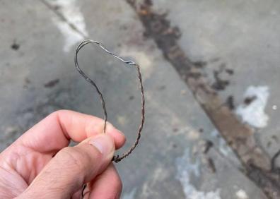 Imagen secundaria 1 - Encuentran a un perro en Granada con un lazo trampa clavado en la pata: así es esta técnica ilegal