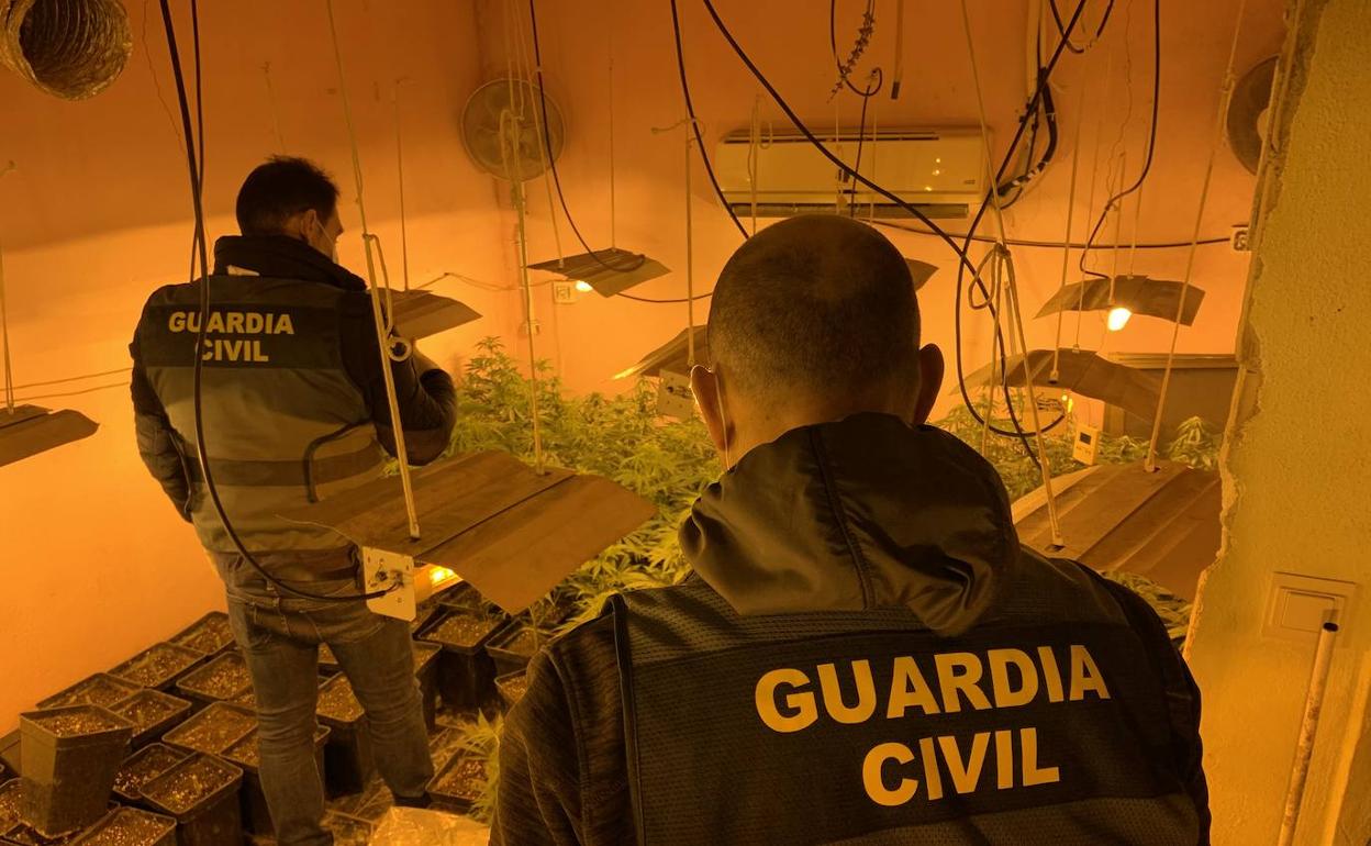 La operación 'Green Daemonium' descubre tres sofisticados invernaderos de marihuana en Cogollos. 