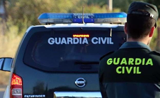 Pillados por la Guardia Civil cuando robaban 100 plantas de marihuana de un invernadero de Cenes