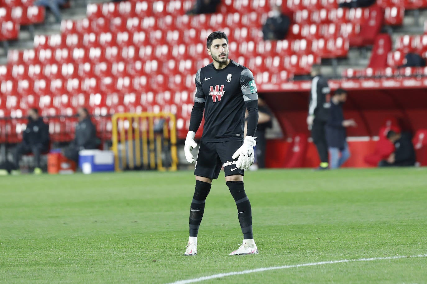 Fotos: Las mejores imágenes del Granada CF- Celta de Vigo