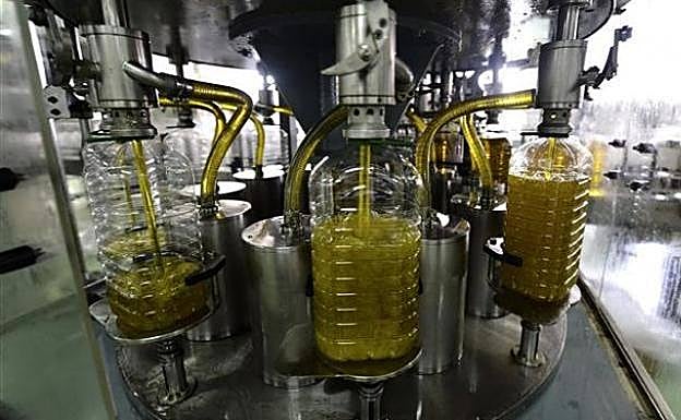 Garrafas llenas de aceite de oliva durante el envasado. 