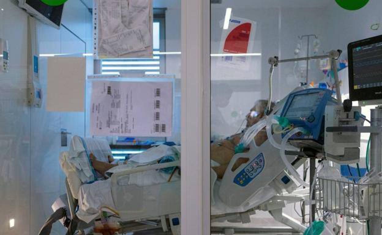 Pandemia de coronavirus | La OMS alerta de la detección de «tres nuevas variantes preocupantes» del coronavirus en América