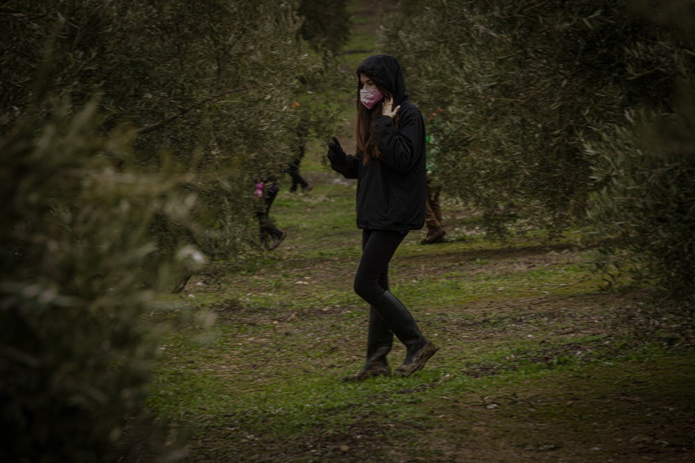 No se sabe nada de él desde el pasado fin de semana, tras el incendio de su vivienda