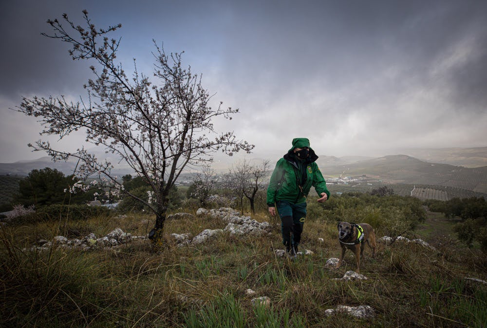 No se sabe nada de él desde el pasado fin de semana, tras el incendio de su vivienda