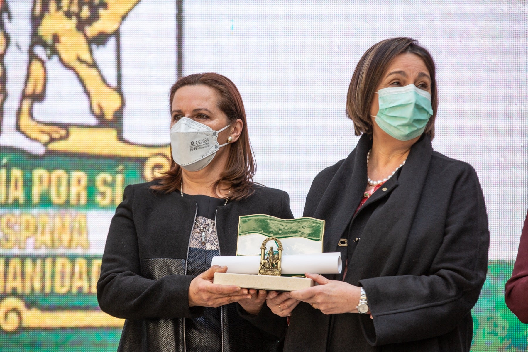 Un repaso a todos los distinguidos en el 2021 en la provincia