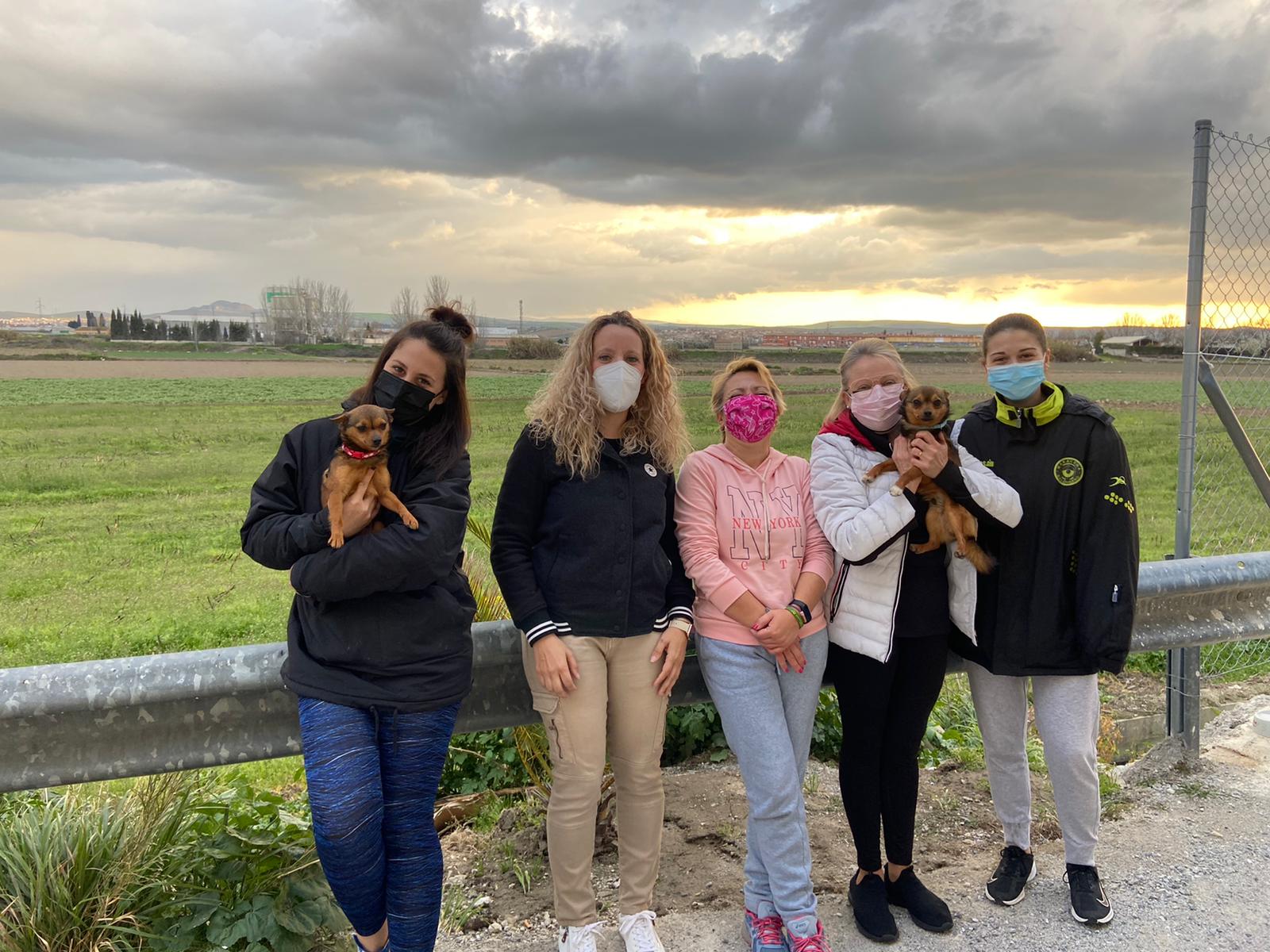 Voluntarias de la Agrupación de Protección Animal de Vegas del Genil.