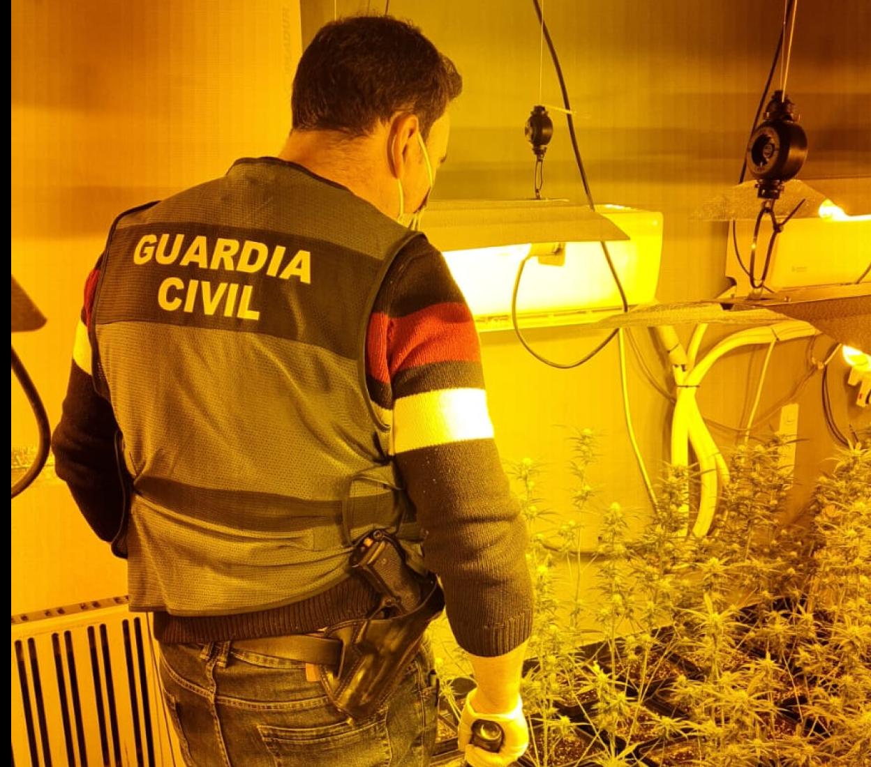 La Guardia Civil desarticula dos centros de producción de marihuana en viviendas Huétor Vega y Maracena. 