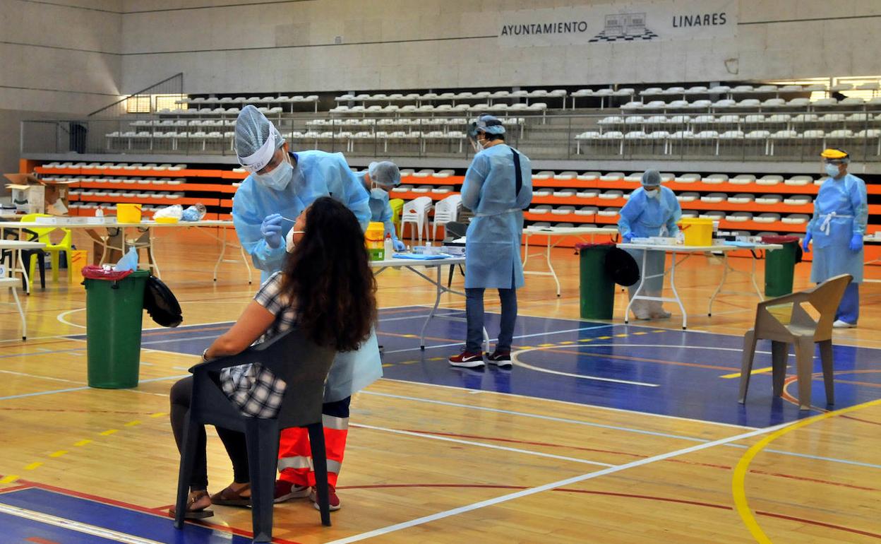 Cribado anterior en Linares. 