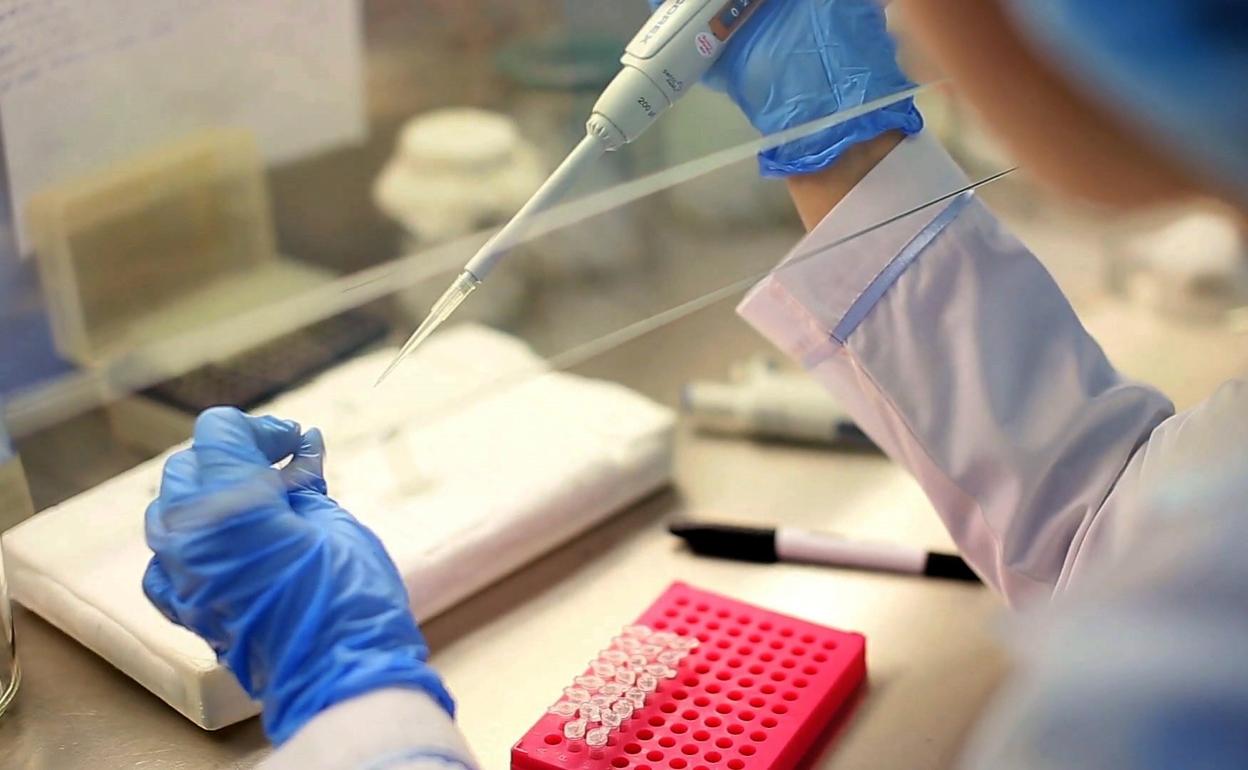 Pandemia del coronavirus | Un estudio relaciona el daño oxidativo del ADN y el ARN y la mortalidad en pacientes con covid-19