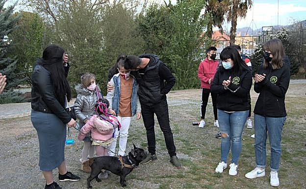 Imagen principal - Perro desaparecido | Sorpresa con final feliz para la familia de Vini, el bulldog francés desaparecido que movilizó a Ogíjares
