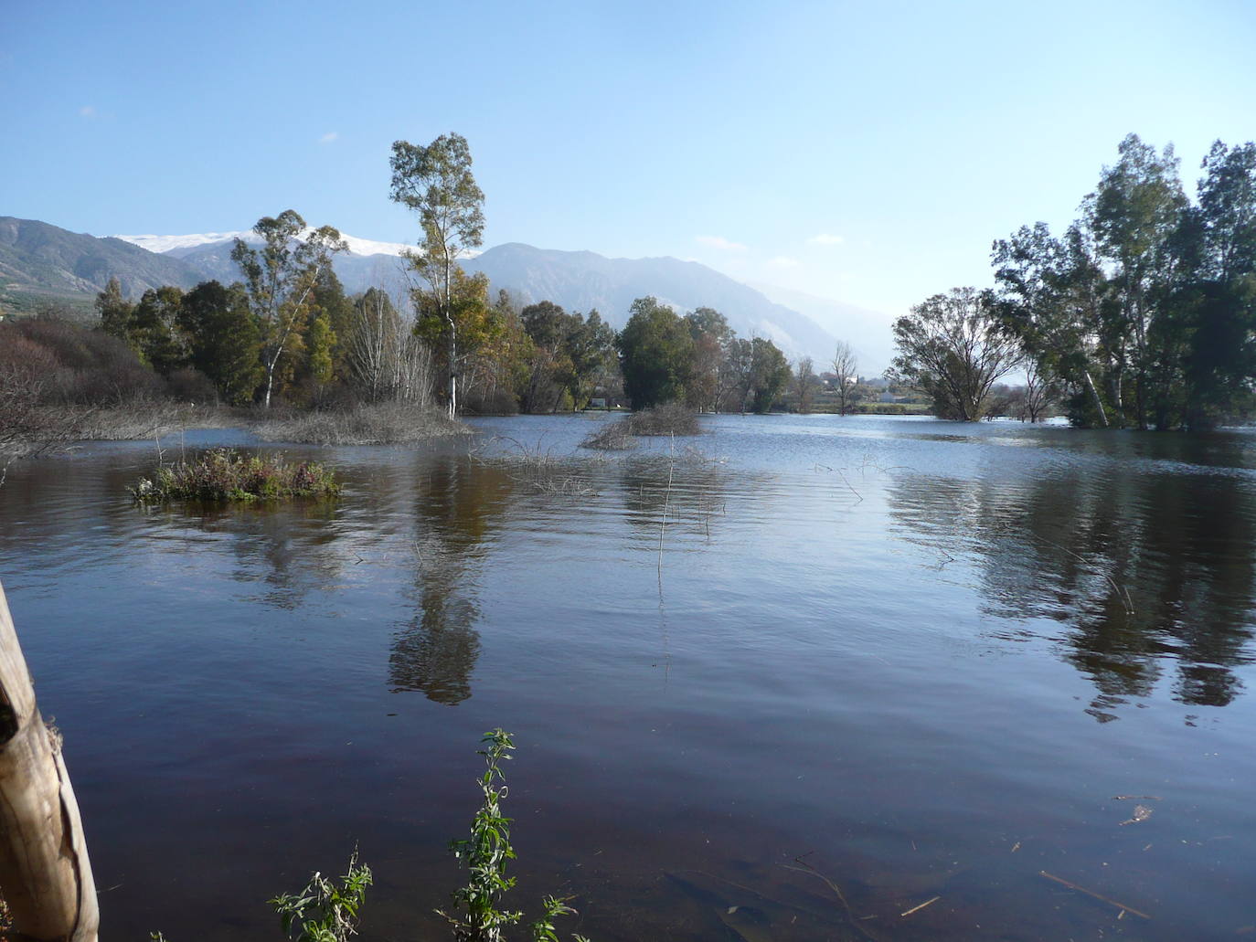 Laguna de Padul.