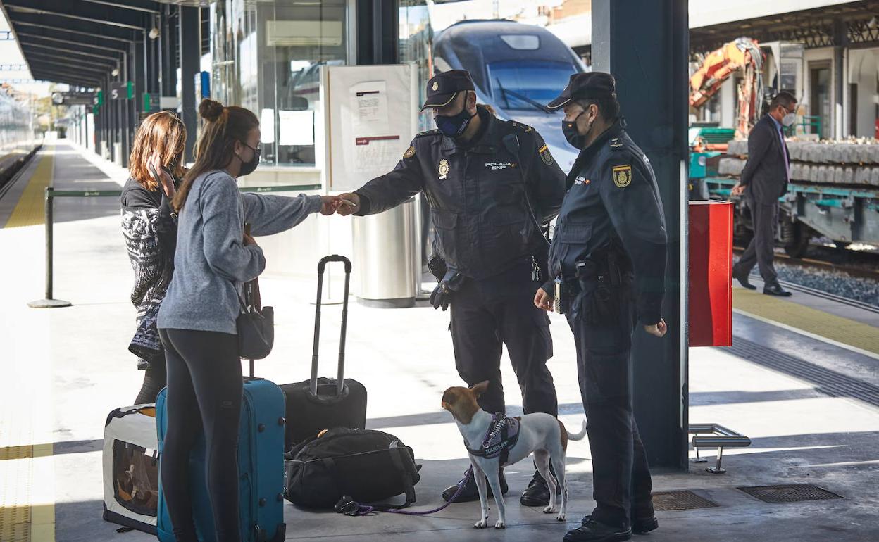 Policía Nacional comprueba los justificantes en Renfe.