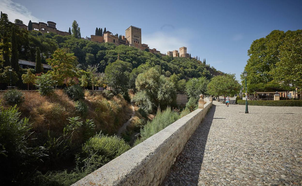 La reforma del Paseo de Romayla ha generado polémica. 
