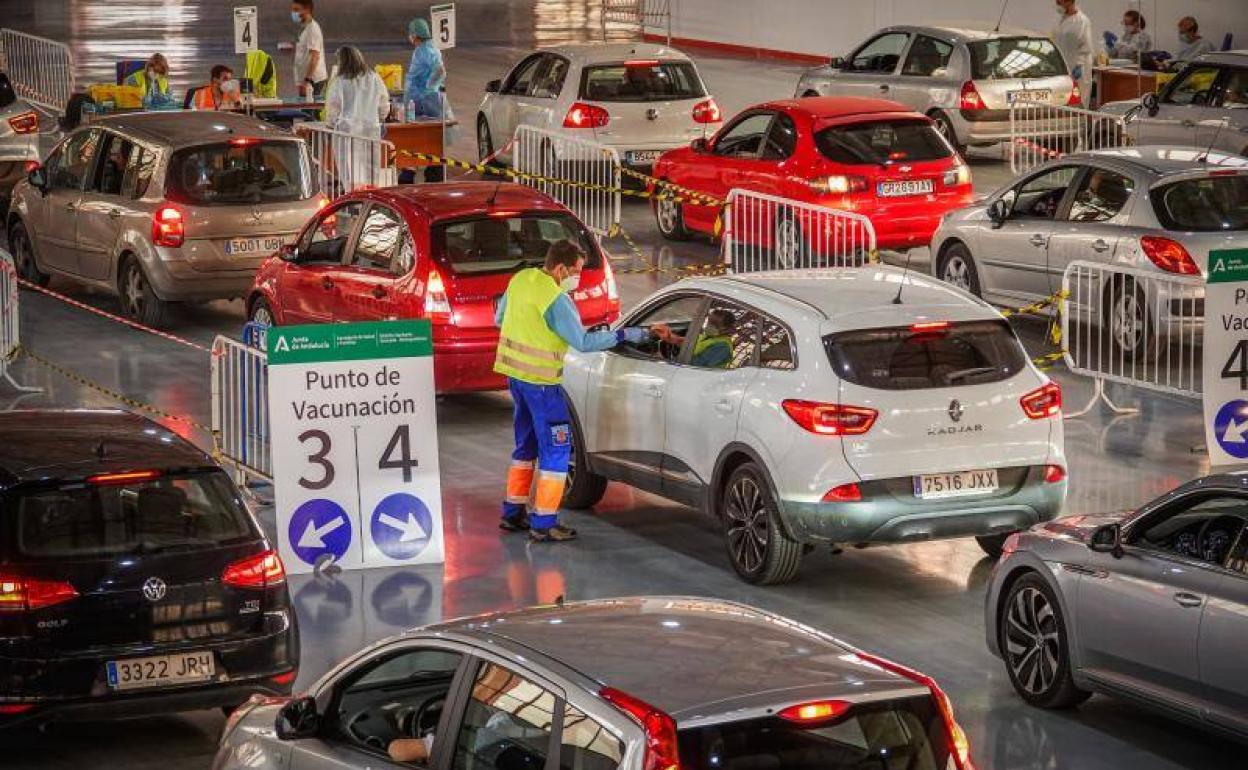 Las filas de vehículos en las líneas de vacunación de Fermasa. 