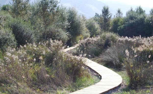 Imagen principal - Senderismo en Granada | Un paseo prehistórico por la Ruta del Mamut