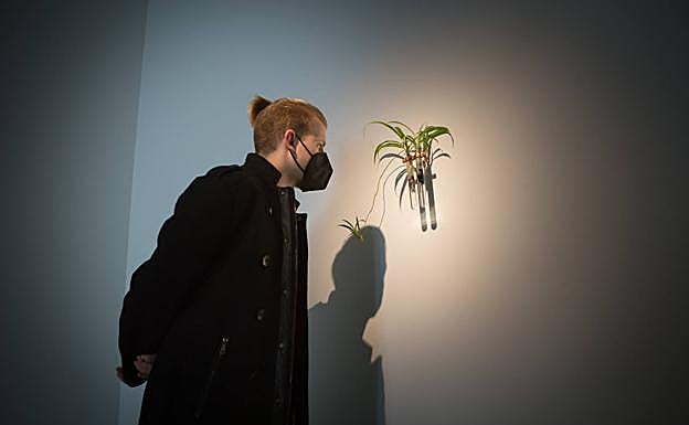 Imagen principal - Exposición 'Bioembroidery'. 