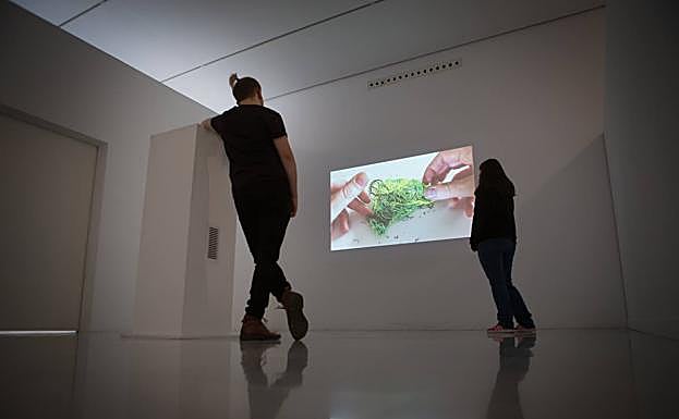 Pieza audiovisual de Alexandra Knie. 