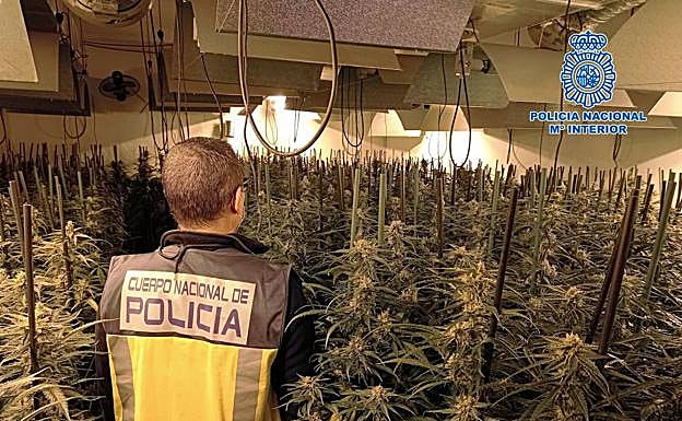 Dos detenidos con 500 plantas de marihuana a pocos metros de una protesta por los cortes de luz en Granada