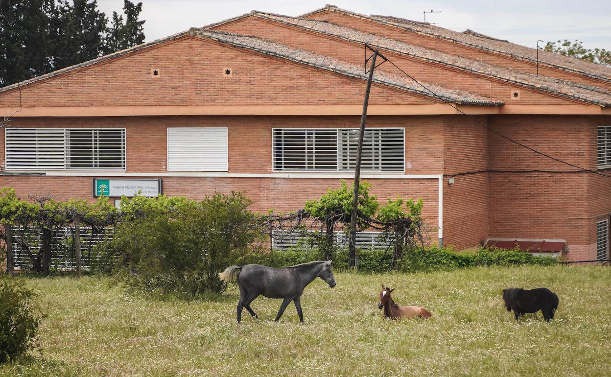 Los tres animales, en el descampado junto al colegio.