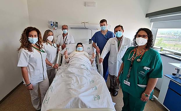 Imagen principal - Rosa, en planta. 