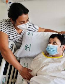 Imagen secundaria 2 - Rosa, en planta. 