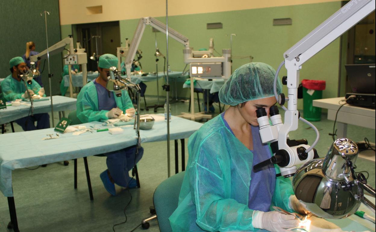 Trabajo en Granada | La Junta reactiva los cursos que formarán a dos mil parados granadinos tras una década de vacío