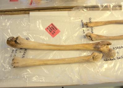 Imagen secundaria 1 - Últimas técnicas de identificación genética en Granada para revelar el verdadero origen de Colón