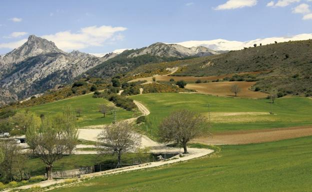 Imagen principal - Senderismo en Granada | Una aventura por las faldas del pico Trevenque