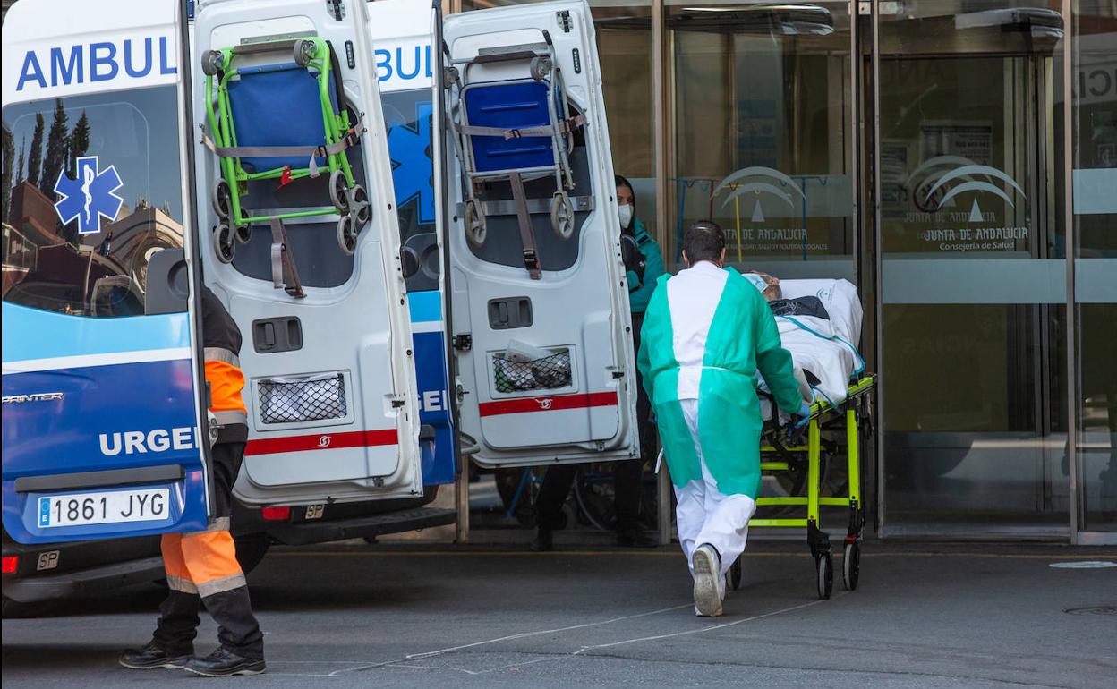 Pandemia covid en Andalucía | La región rebasa la cifra de los 10.000 muertos a causa del coronavirus