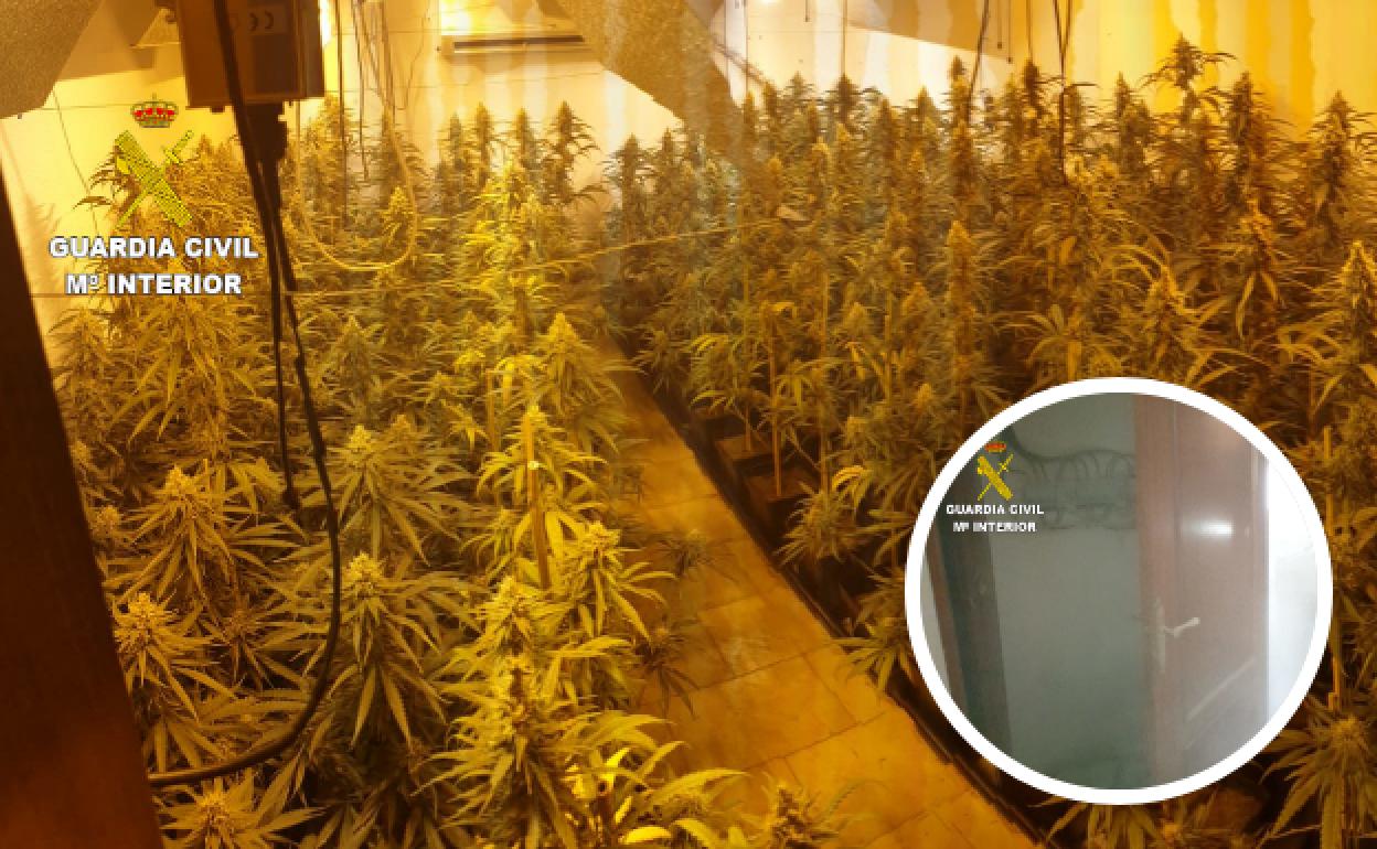 Un incendio en una casa de Monachil deja al descubierto el inverndero de marihuana del inquilino. 