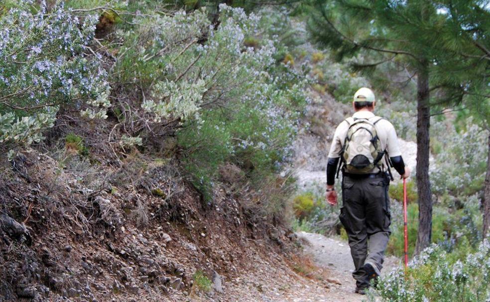 Camino al nacimiento del río Verde