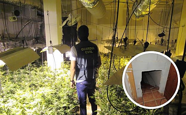 Descubren un zulo tras el frigorífico de su casa en Alomartes donde cultivaba 1.000 plantas de maría