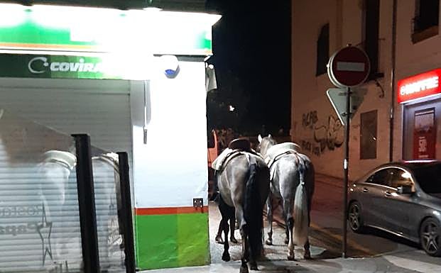 Detenido un jinete ebrio que protagonizó varias trifulcas en bares del Realejo