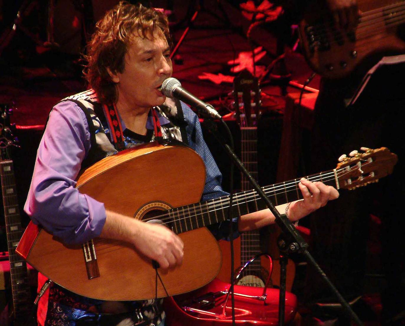 El cantautor durante un concierto. 