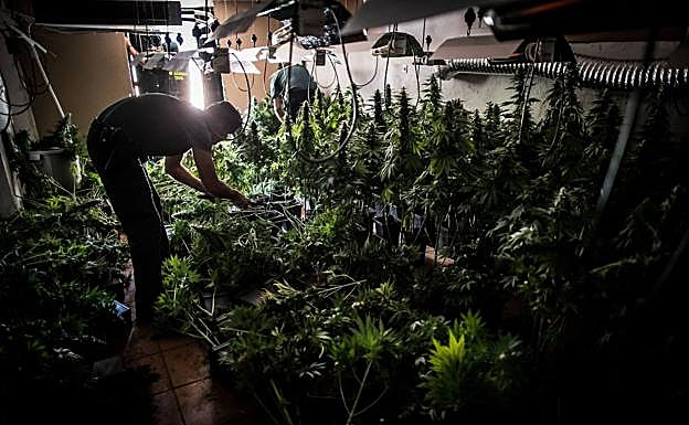 El valor de los bienes bloqueados a clanes de la maría en Granada equivale al sueldo de 1.000 docentes