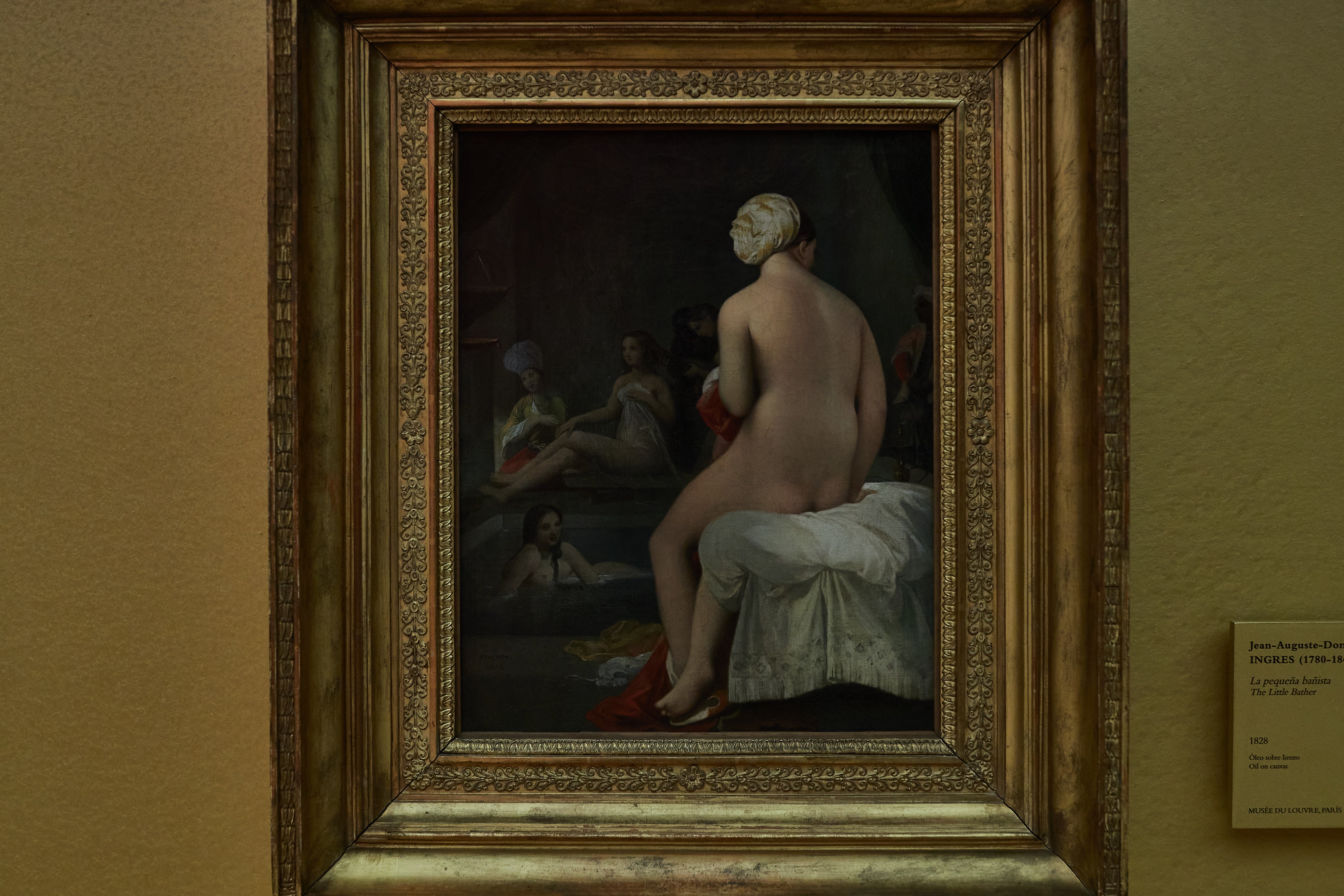 Está impulsada por el Patronato de La Alhambra y el Generalife y en ella se reflexiona sobre el mito de la odalisca y cómo su figura se convirtió a lo largo de los siglos XIX y XX en uno de los grandes tópicos de la Historia del Arte