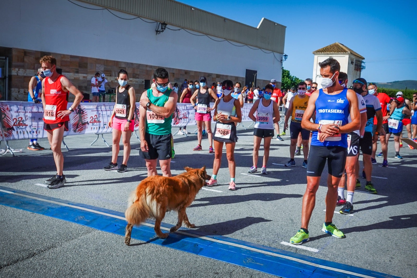 Cientos de corredores se dan cita en la Prueba de Fondo Ciudad de Dúrcal-Ruta de Boabdil