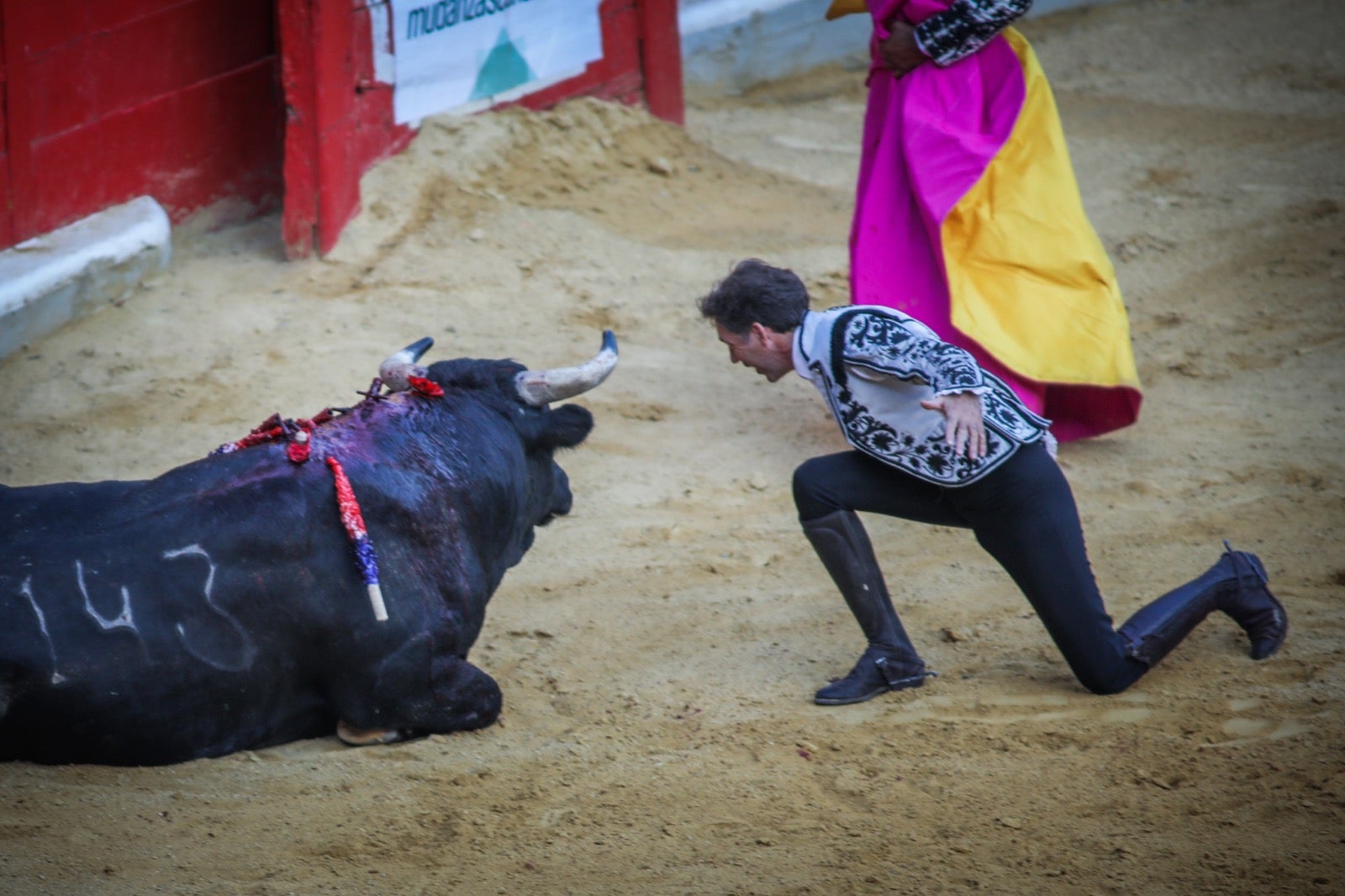 Pablo y Guillermo Hermoso de Mendoza, Puerta Grande en el primer festejo de la feria