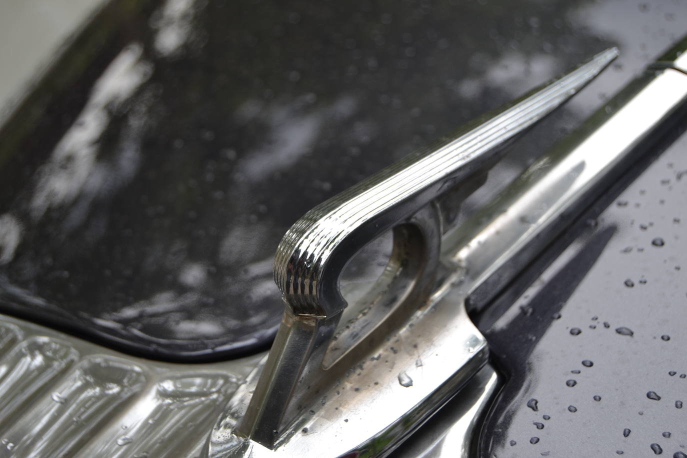 Hasta las 15 horas del domingo se podrán contemplar en el Paseo del Salón, los más de 70 vehículos del siglo pasado participantes en la XVII Ruta Reale.