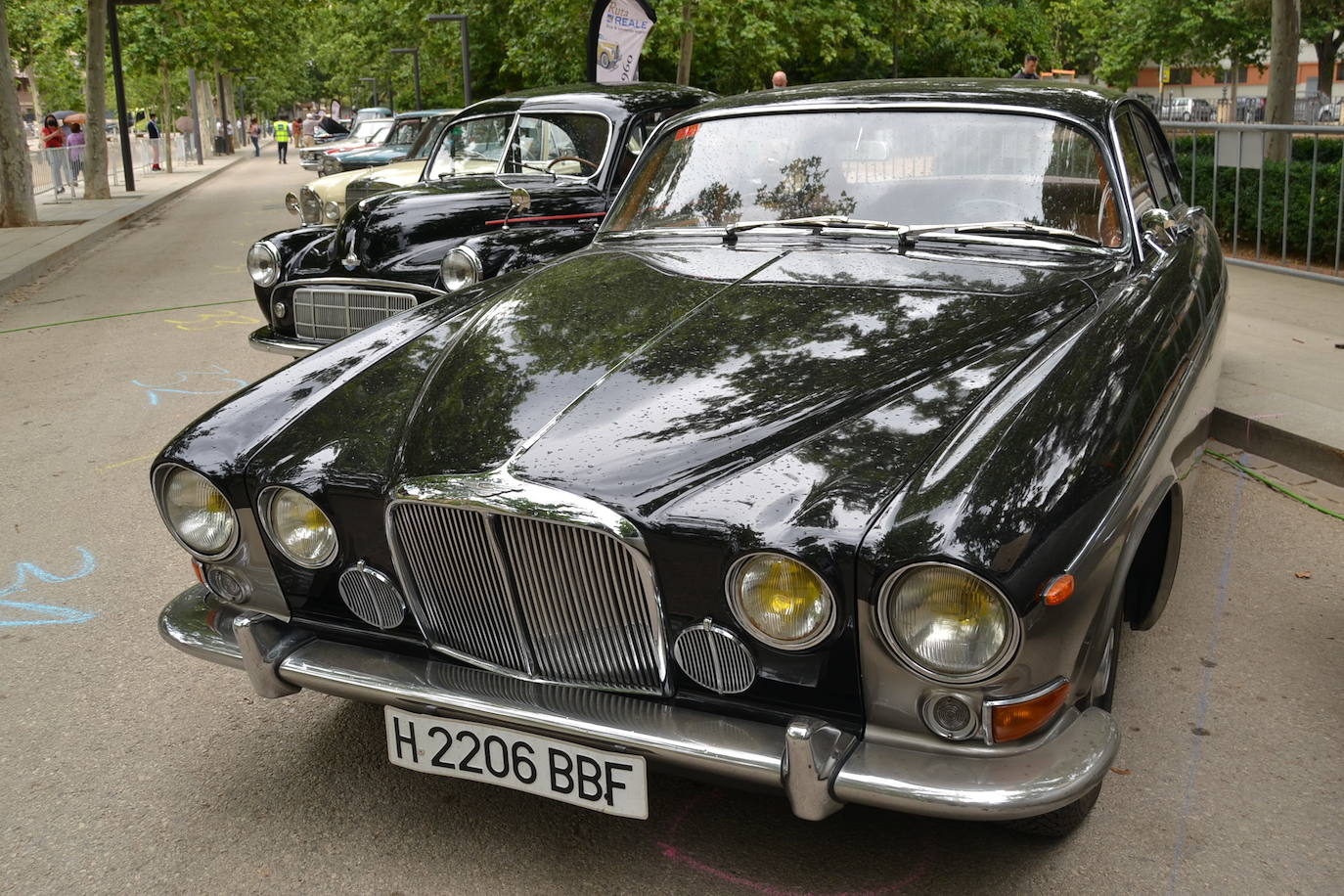 Hasta las 15 horas del domingo se podrán contemplar en el Paseo del Salón, los más de 70 vehículos del siglo pasado participantes en la XVII Ruta Reale.
