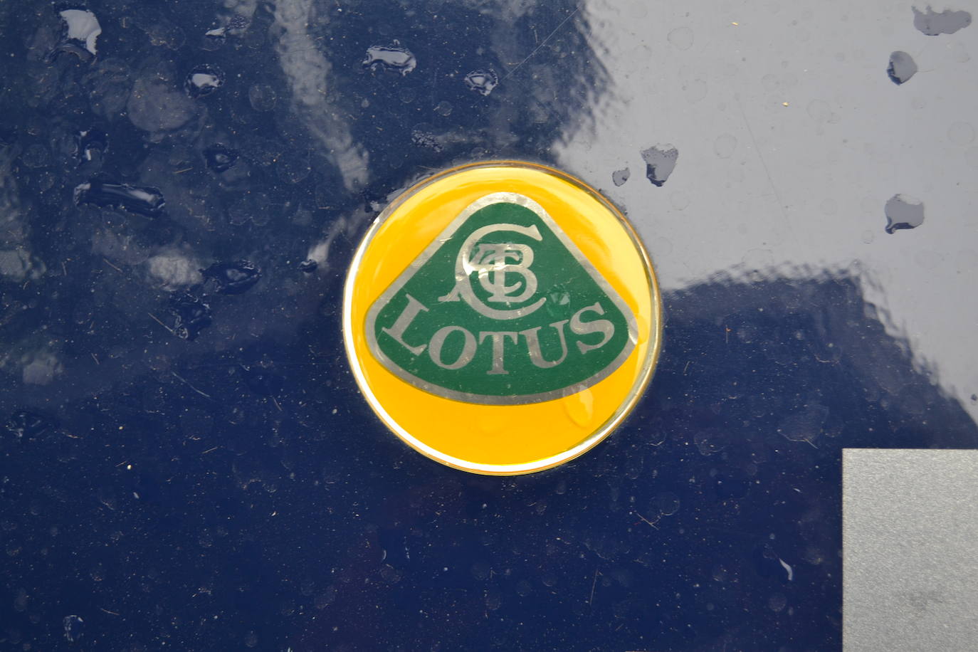 Hasta las 15 horas del domingo se podrán contemplar en el Paseo del Salón, los más de 70 vehículos del siglo pasado participantes en la XVII Ruta Reale.