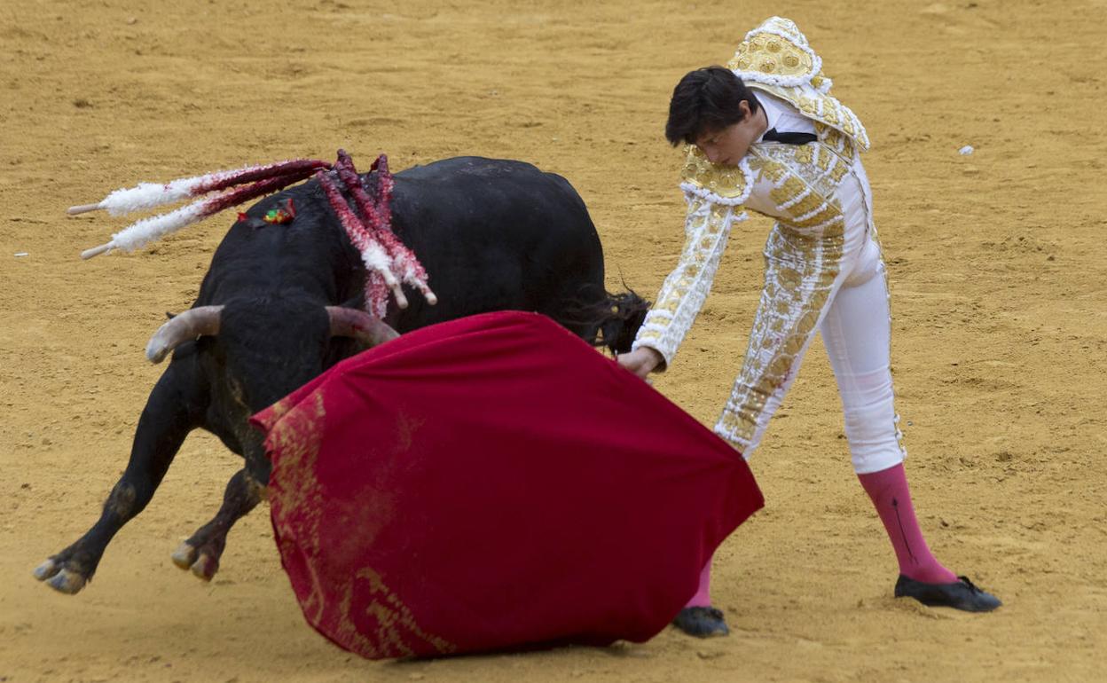 El peruano Andrés Roca Rey, inicia un pase de pecho circular a su primer toro, en el que cortó una oreja.