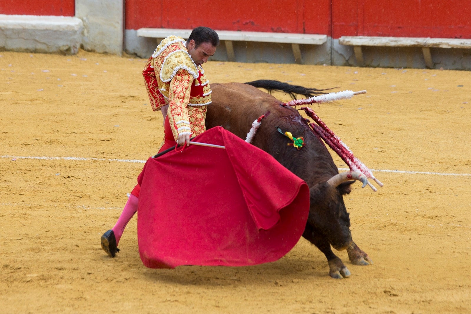 Segunda corrida de la feria taurina de Granada