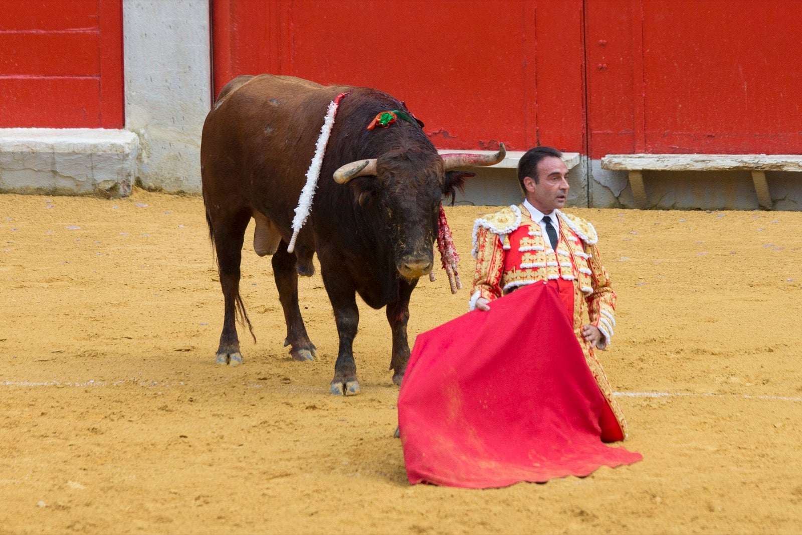 Segunda corrida de la feria taurina de Granada