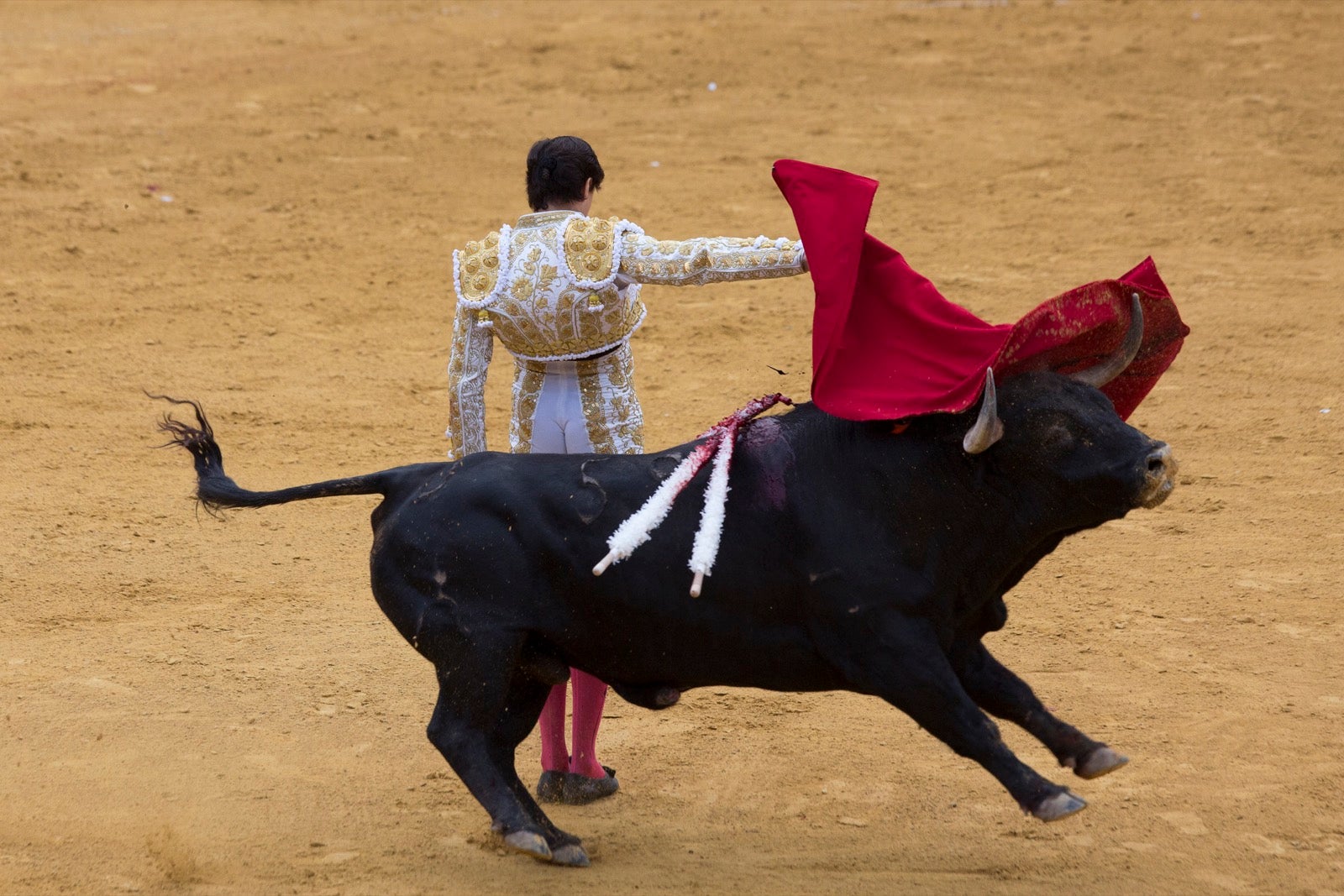 Segunda corrida de la feria taurina de Granada