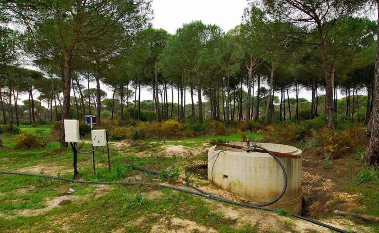 Uno de los pozos ilegales que esquilman el acuífero y dañan el parque de Doñana. 