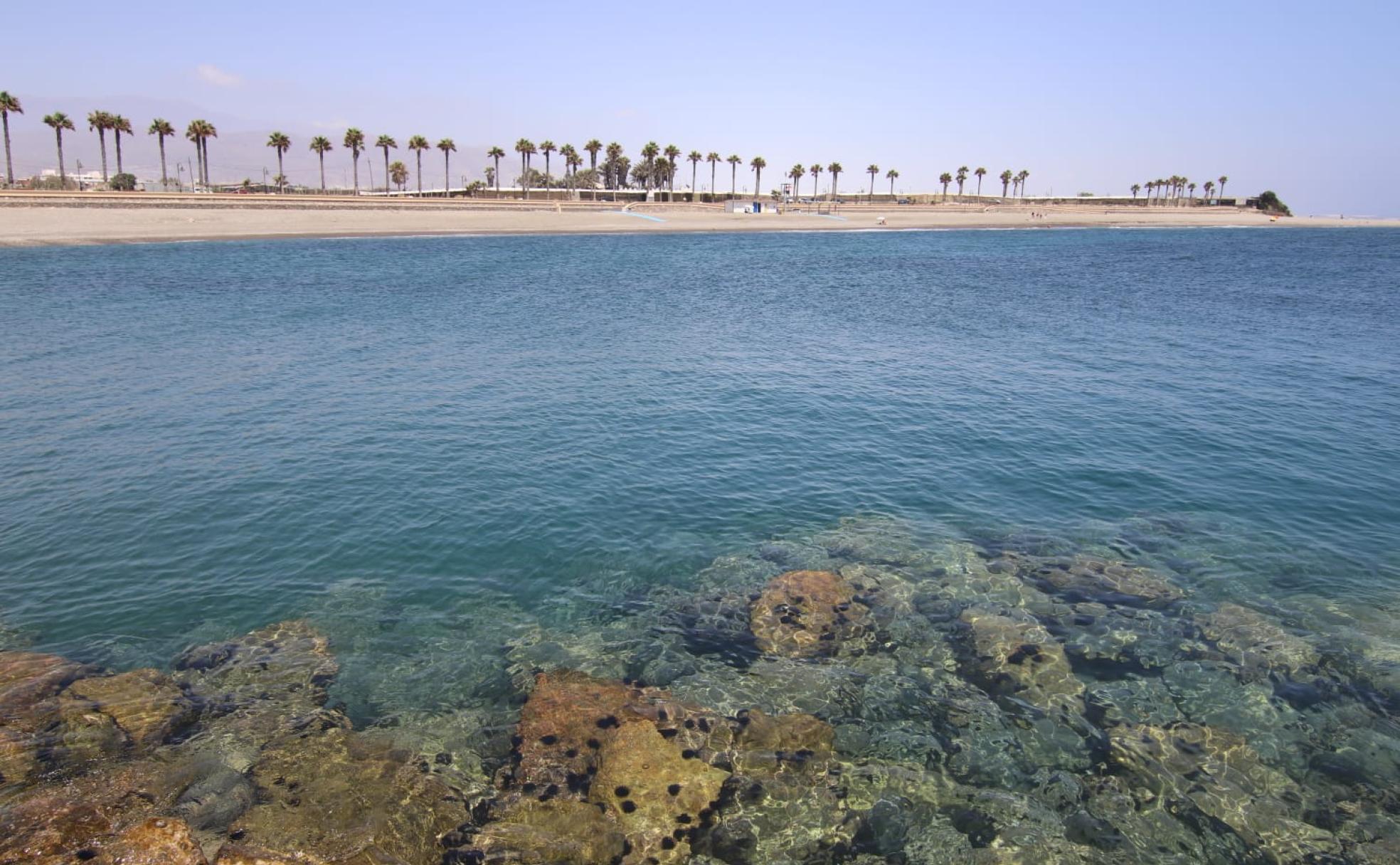 Imagen de la playa del Censo de Adra. 