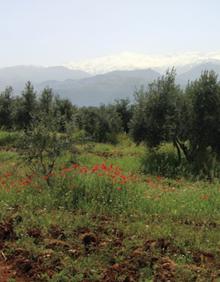Imagen secundaria 2 - Senderismo en Granada | La Dehesa del Generalife, una ruta entre alijbes y miradores